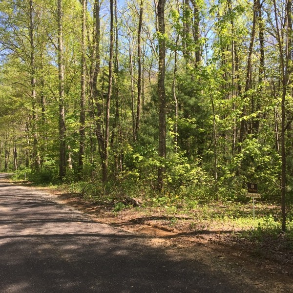 Land for Sale Hickory Nut Forest